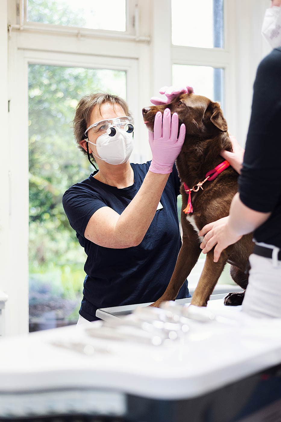 © Thilo Gögelein Fotografie // Tierärztin der Tierklinik Fuhlsbüttel mit Hund in tierärztlicher Behandlung