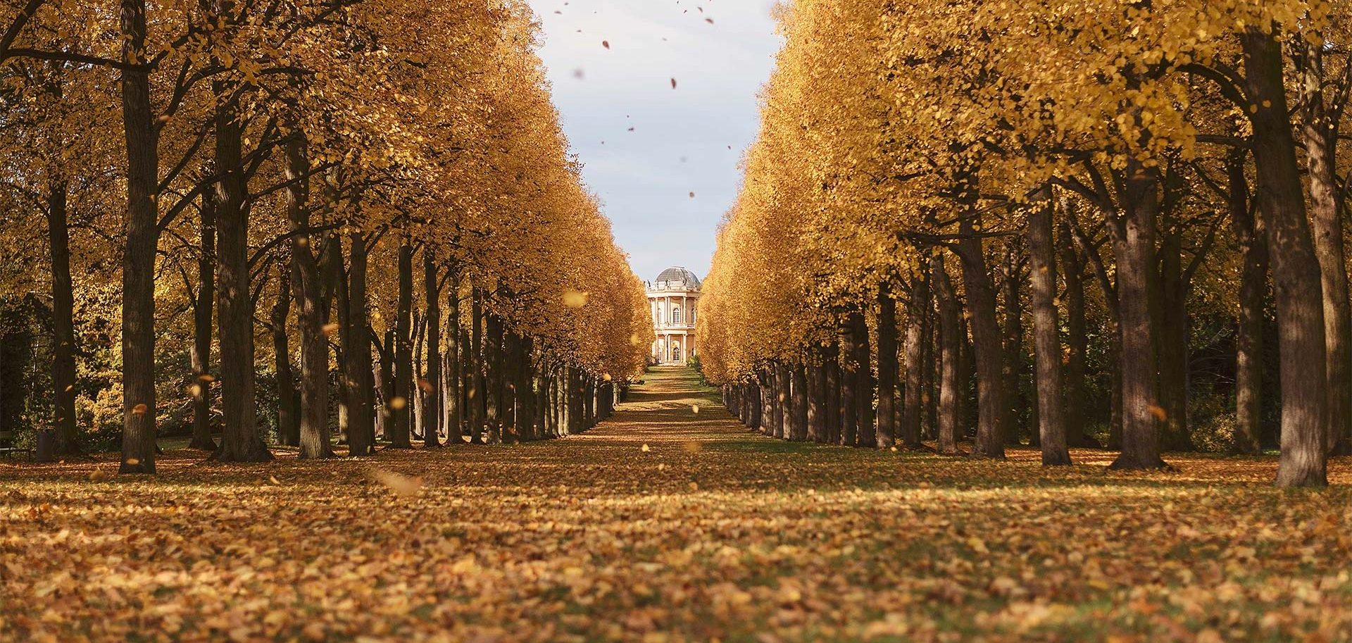 © Thilo Gögelein Fotografie // Streetfotografie und Landschaftsfotografie in Potsdam, Park Sanssouci Potsdam, Belvedere Klausberg bei Herbst